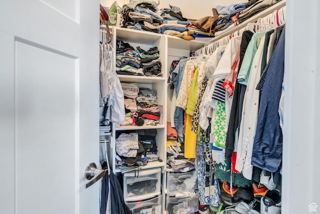 548 E 300 N, Vineyard, UT 84059 - view of spacious closet