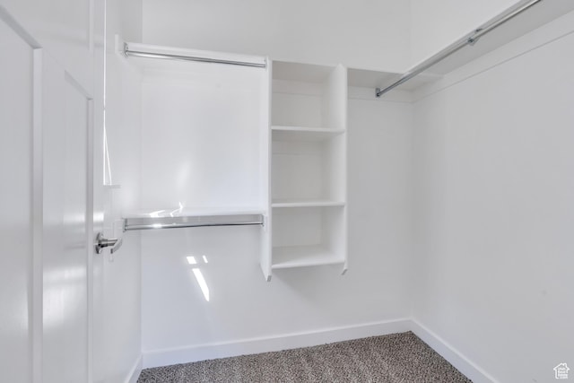 548 E 300 N, Vineyard, UT 84059 - walk in closet featuring carpet