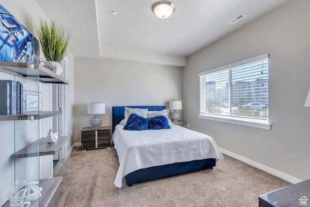 265 N 670 E, Vineyard, UT 84059 - carpeted bedroom featuring visible vents and baseboards