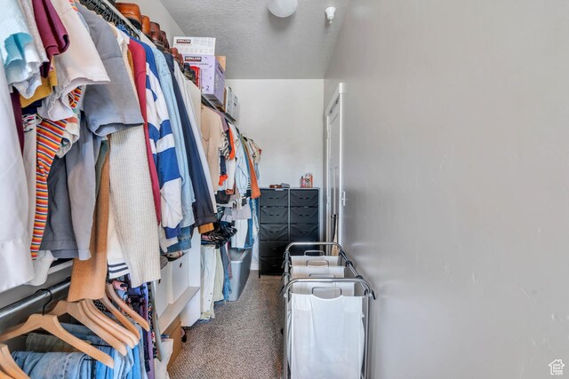 265 N 670 E, Vineyard, UT 84059 - walk in closet with carpet flooring