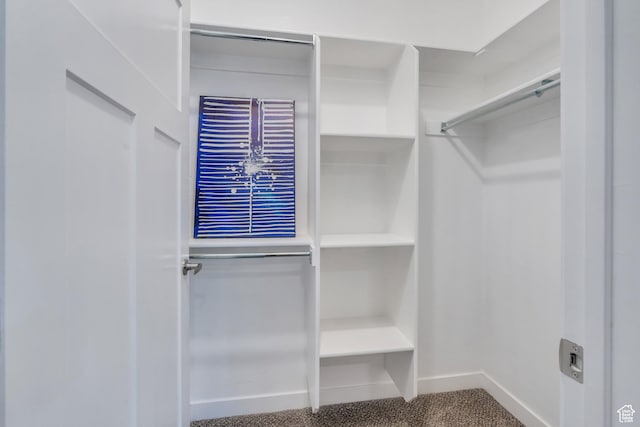 265 N 670 E, Vineyard, UT 84059 - walk in closet with carpet floors