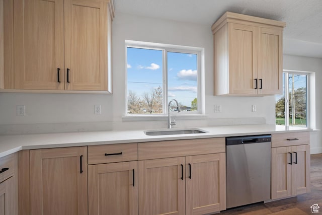292 500 N, Santaquin, UT 84655 - kitchen featuring light brown cabinets, a sink, light countertops, wood finished floors, and stainless steel dishwasher