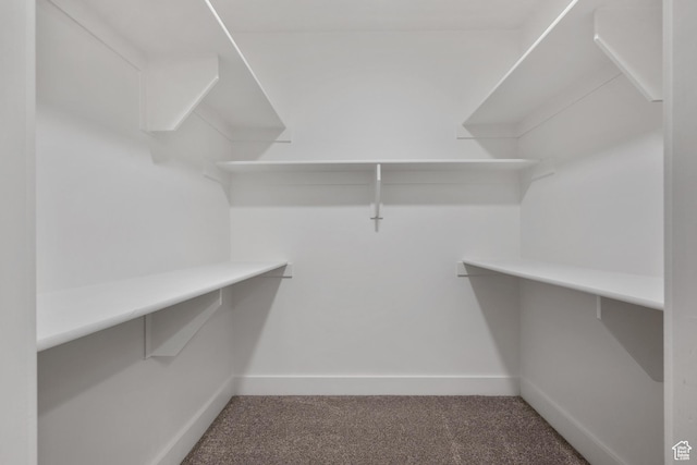 292 500 N, Santaquin, UT 84655 - walk in closet with carpet flooring