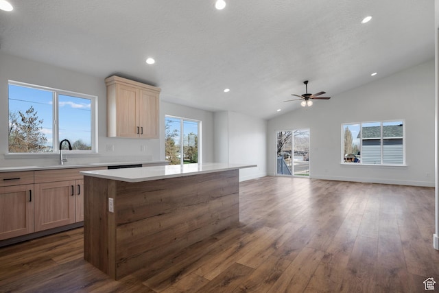 292 500 N, Santaquin, UT 84655 - kitchen featuring a sink, open floor plan, light countertops, dark wood-style floors, and lofted ceiling