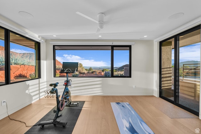 973 W Sipala Trl, Ivins, UT 84738 - workout area featuring ceiling fan and light hardwood / wood-style floors