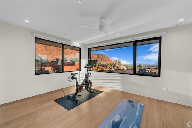 973 W Sipala Trl, Ivins, UT 84738 - exercise room with ceiling fan and hardwood / wood-style floors