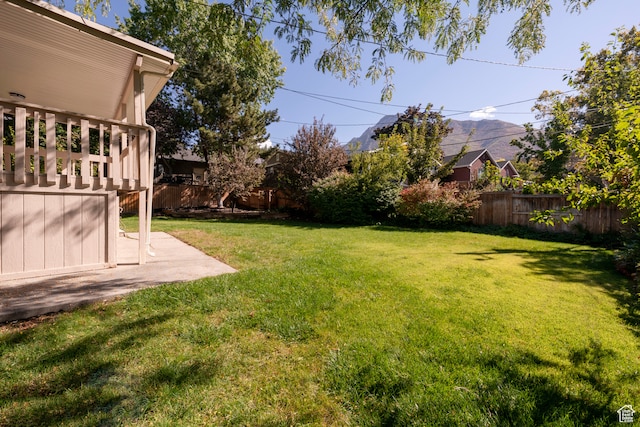 view of yard featuring a patio area