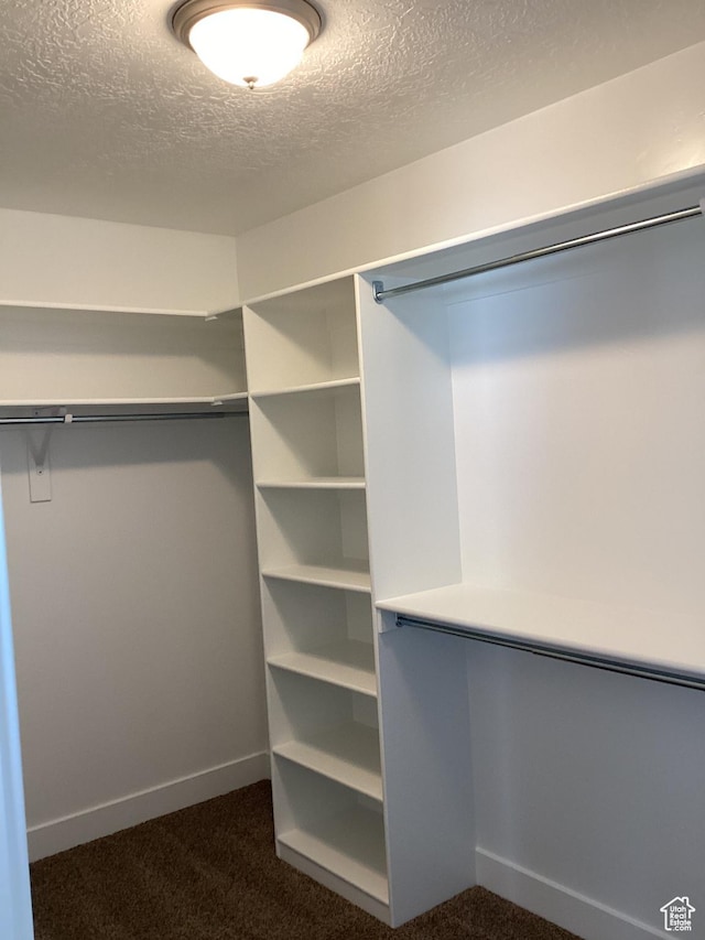 796 W Cherry Orchard Ln S, Grantsville, UT 84029 - walk in closet featuring dark carpet