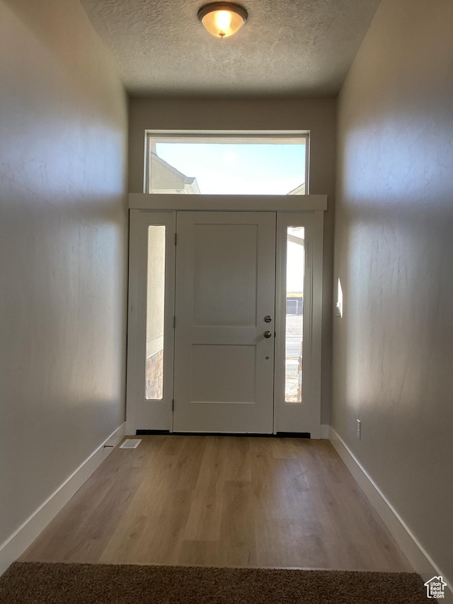 796 W Cherry Orchard Ln S, Grantsville, UT 84029 - foyer with light wood-style flooring, a wealth of natural light, baseboards, and a textured ceiling