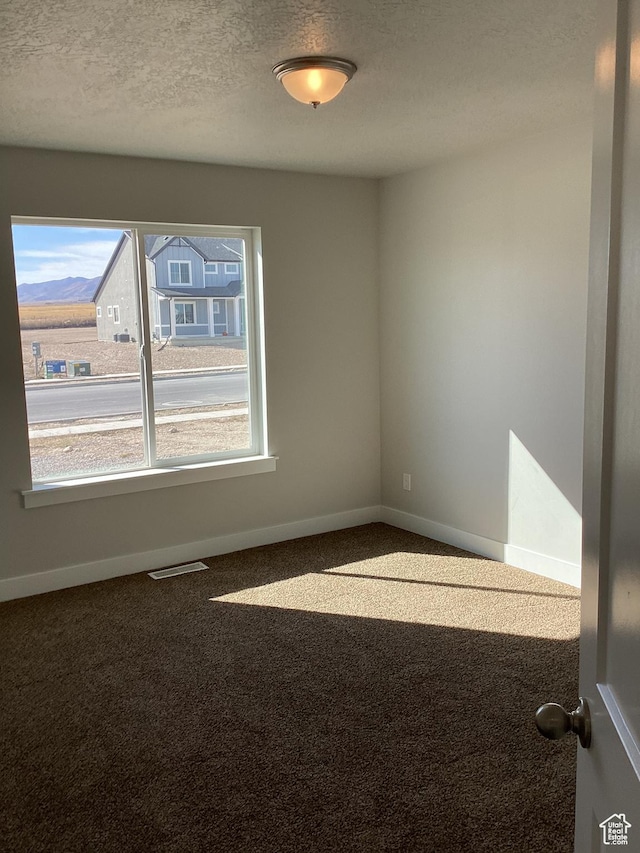 796 W Cherry Orchard Ln S, Grantsville, UT 84029 - carpeted empty room with visible vents, baseboards, and a textured ceiling