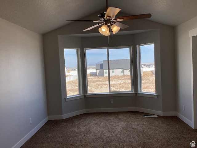 796 W Cherry Orchard Ln S, Grantsville, UT 84029 - spare room with dark carpet, lofted ceiling, and a wealth of natural light