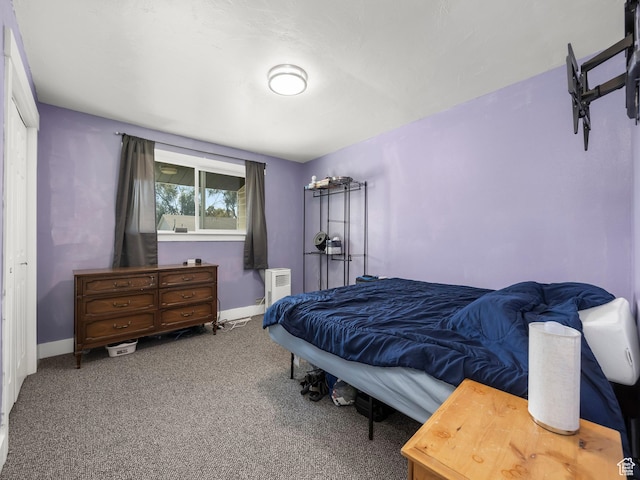 435 E 790 S Unit 8, Pleasant Grove, UT 84062 - carpeted bedroom with baseboards