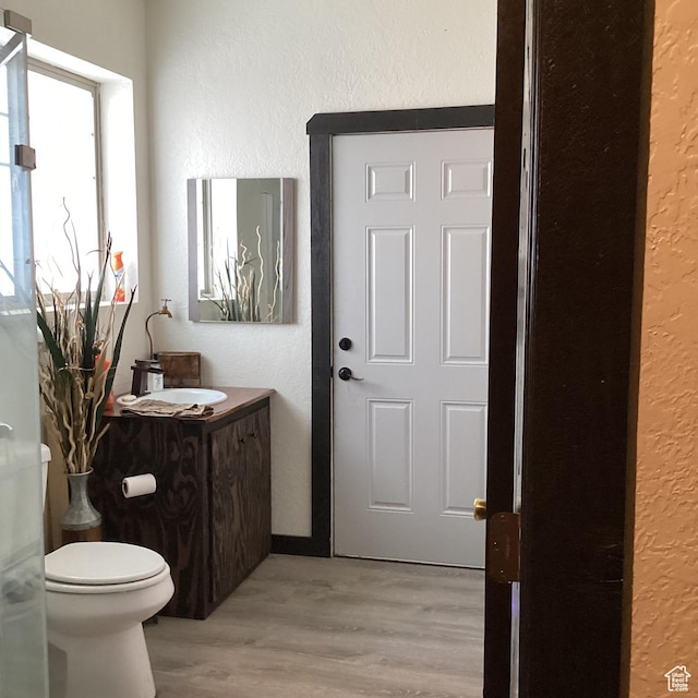 1528 E Valley View Dr, Manila, UT 84046 - bathroom with vanity, wood finished floors, toilet, and a textured wall