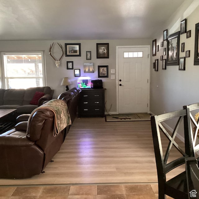 1528 E Valley View Dr, Manila, UT 84046 - living area featuring light wood-style floors