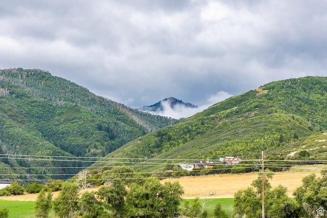 view of mountain feature
