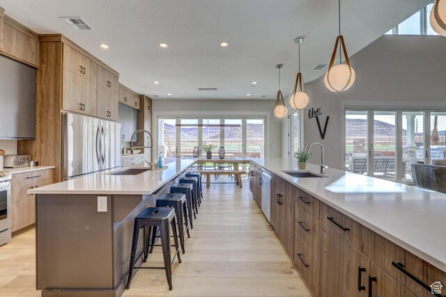 4971 S Cattail Way, Washington, UT 84780 - kitchen with recessed lighting, light wood-type flooring, a sink, and appliances with stainless steel finishes