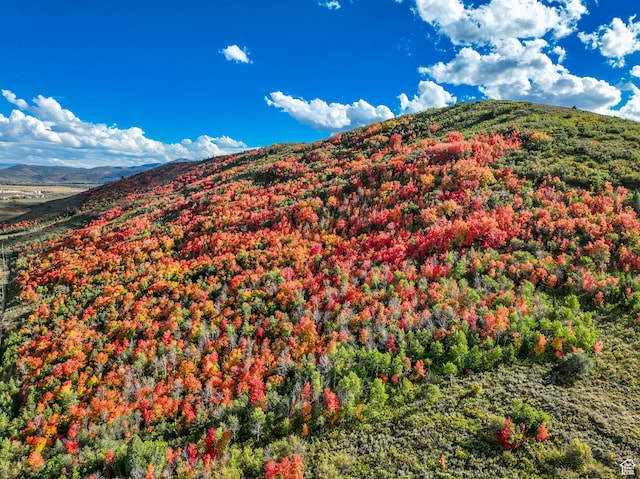 2063 Blue Grouse Ln Unit 63, Park City, UT 84098