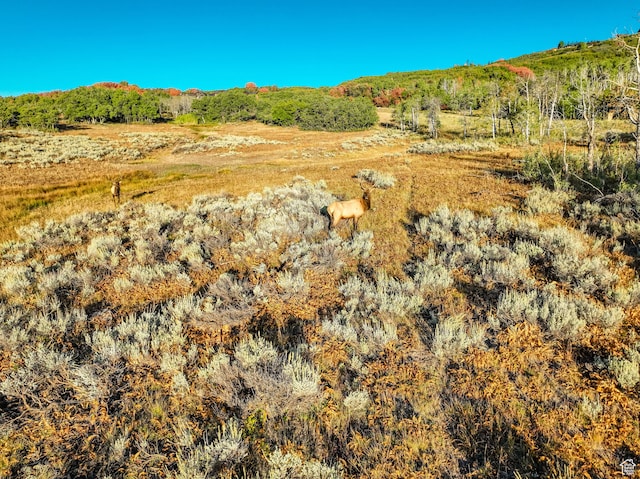 2063 Blue Grouse Ln Unit 63, Park City, UT 84098