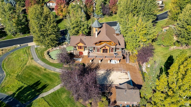 bird's eye view