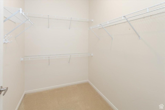 2896 W Abbey Springs Cir S, West Jordan, UT 84084 - spacious closet featuring light colored carpet