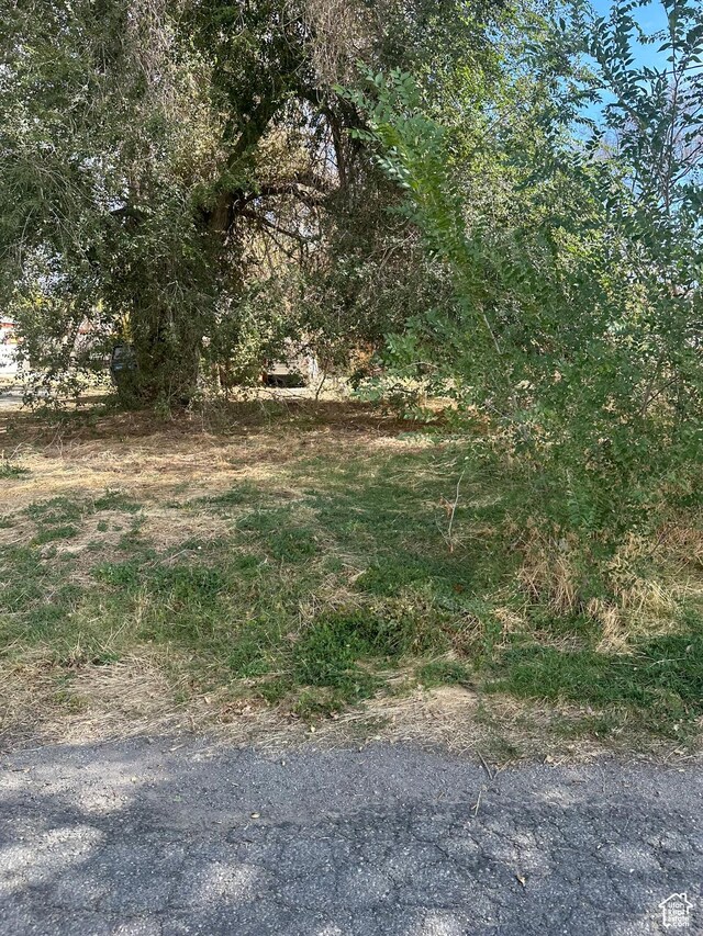 129 W Pacific Dr N, American Fork, UT 84003 - photo 9