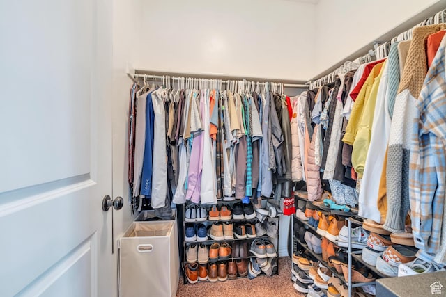 376 S 740 W Unit 102, Pleasant Grove, UT 84062 - spacious closet featuring carpet floors