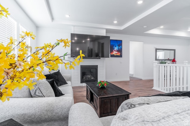 434 S Madeline Ct, Grantsville, UT 84029 - living room with a glass covered fireplace, baseboards, recessed lighting, a tray ceiling, and wood finished floors