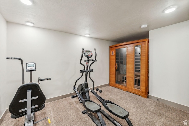 8938 N Canyon Wash Dr, Eagle Mountain, UT 84005 - exercise area featuring carpet floors, a textured ceiling, and baseboards