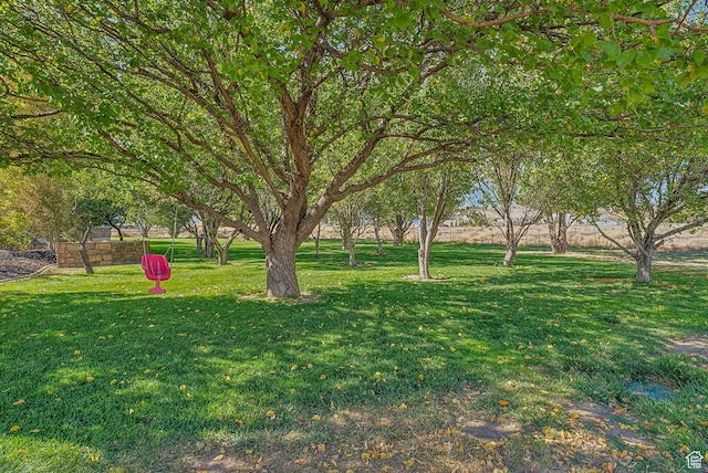 8938 N Canyon Wash Dr, Eagle Mountain, UT 84005 - view of yard