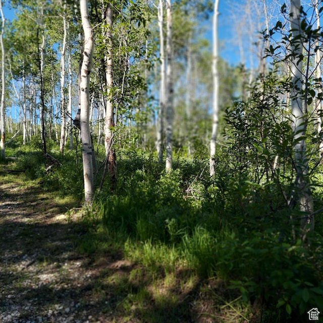 Unit 22, Spanish Fork, UT 84660 - photo 7