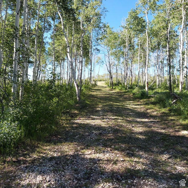 Unit 22, Spanish Fork, UT 84660 - photo 6