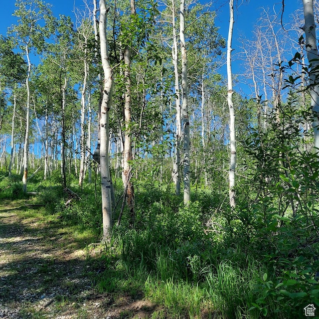 Unit 22, Spanish Fork, UT 84660 - photo 3