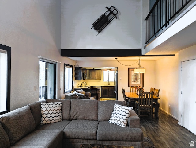 102 S Alpine Ln # A-4, Brian Head, UT 84719 - living room with sink, a towering ceiling, and dark hardwood / wood-style flooring