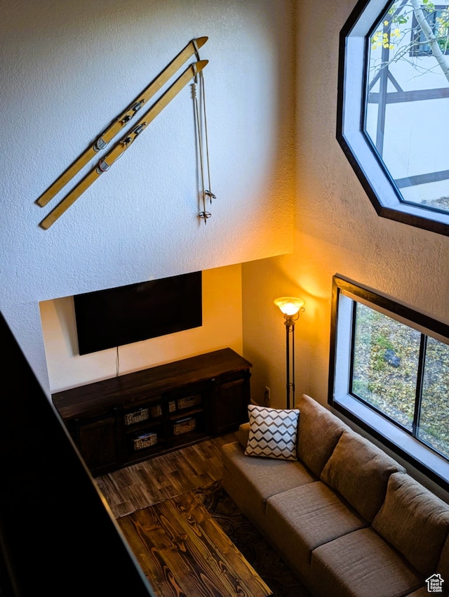 102 S Alpine Ln # A-4, Brian Head, UT 84719 - living room featuring dark wood-type flooring