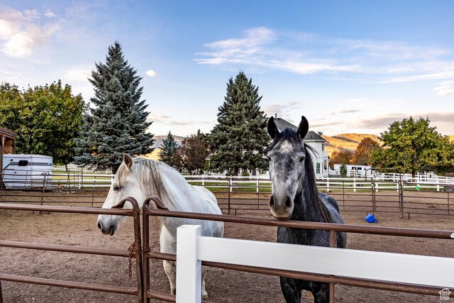 view of horse barn with a rural view