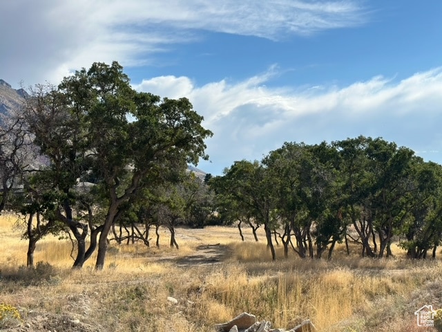 668 E Katherine Way, Alpine, UT 84004
