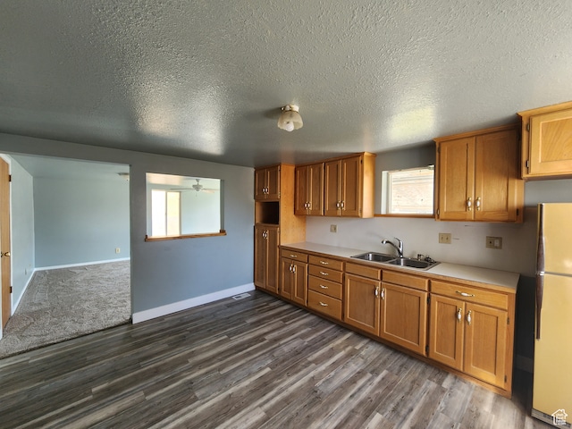 kitchen with a textured ceiling, sink, white refrigerator, and dark hardwood / wood-style floors