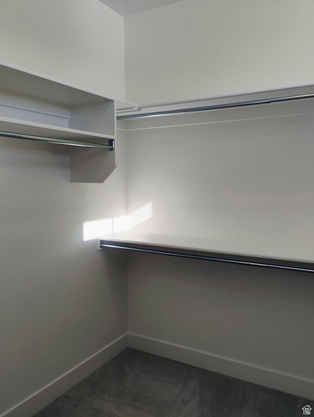 2390 W 5190 N Unit 4, Cedar City, UT 84721 - walk in closet with dark carpet