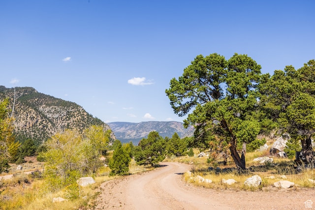 18906 N Canyon Rd, Whiterocks, UT 84085 - mountain view