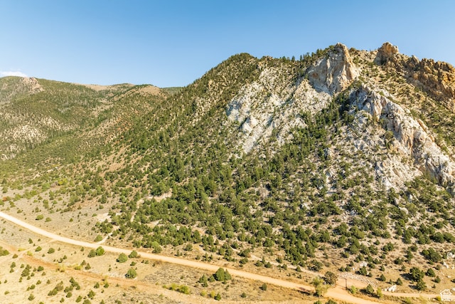 18906 N Canyon Rd, Whiterocks, UT 84085 - property view of mountains