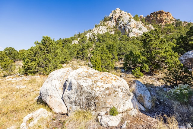 18906 N Canyon Rd, Whiterocks, UT 84085 - view of nature