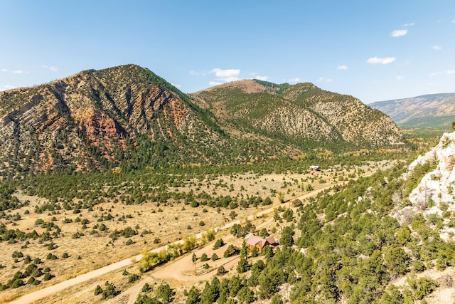 18906 N Canyon Rd, Whiterocks, UT 84085 - property view of mountains