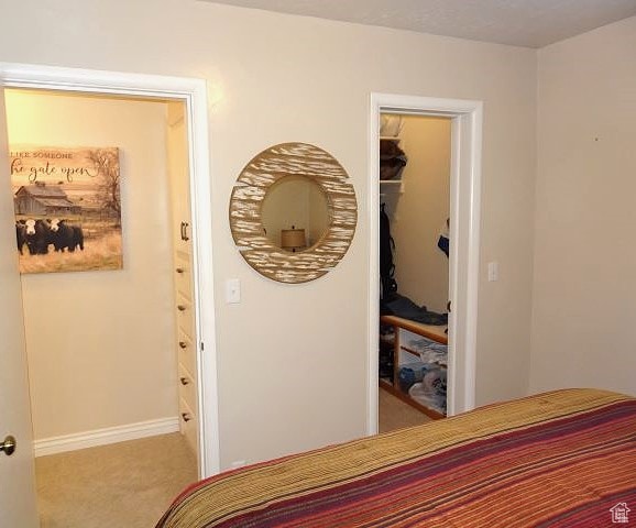 4040 Dingle Rd, Dingle, ID 83233 - photo 12