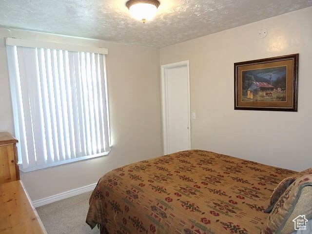 4040 Dingle Rd, Dingle, ID 83233 - photo 8