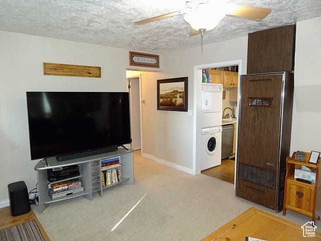 4040 Dingle Rd, Dingle, ID 83233 - photo 6
