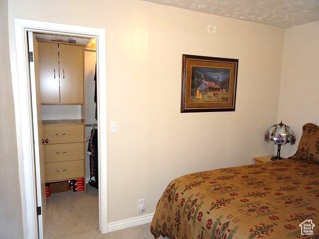 4040 Dingle Rd, Dingle, ID 83233 - photo 9
