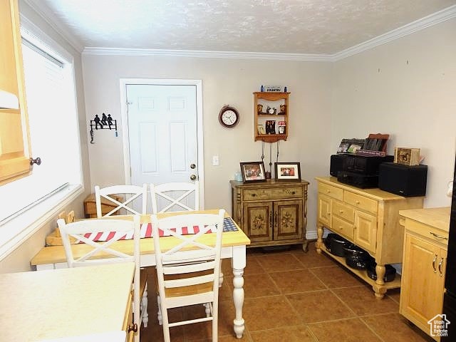 4040 Dingle Rd, Dingle, ID 83233 - photo 4