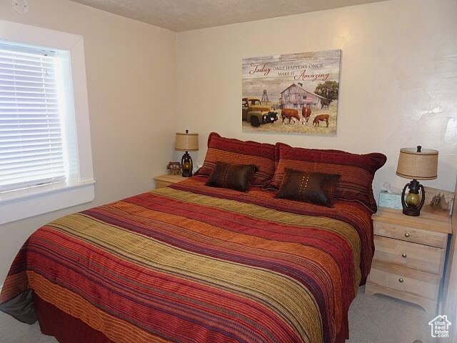 4040 Dingle Rd, Dingle, ID 83233 - photo 11
