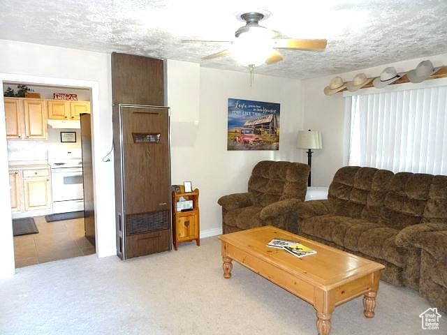 4040 Dingle Rd, Dingle, ID 83233 - photo 2