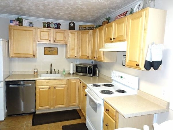 4040 Dingle Rd, Dingle, ID 83233 - photo 3